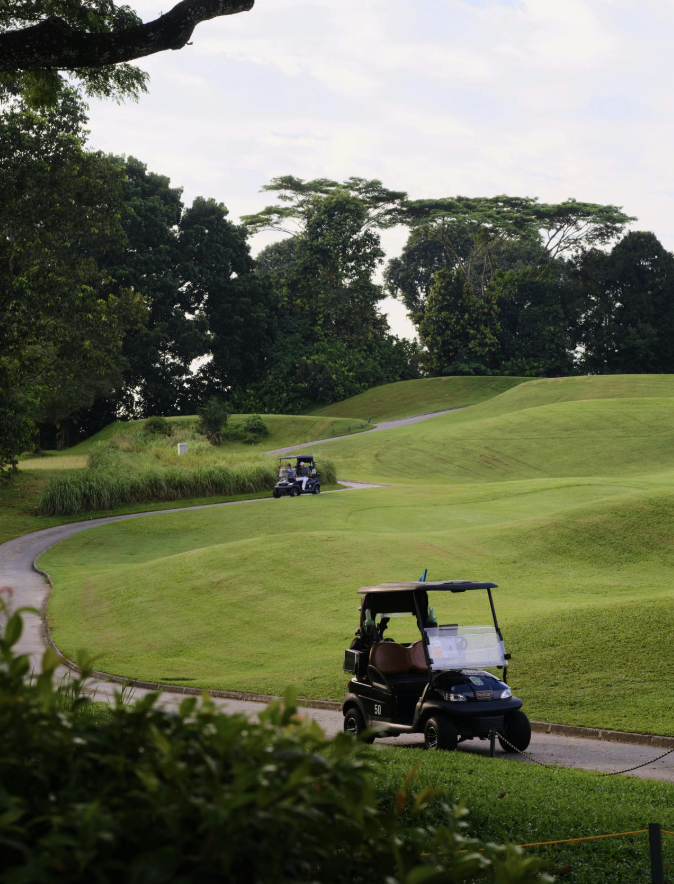 Golfclubs